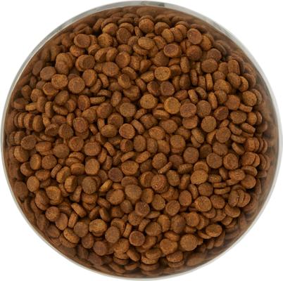 Show full view: Frisco Flare Dog & Cat Bowl, Stainless Steel, Large: 7 cup, 1 count slide 5 of 10