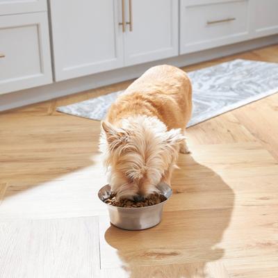 Show full view: Frisco Flare Dog & Cat Bowl, Stainless Steel, Medium: 4 cup, 1 count slide 3 of 11