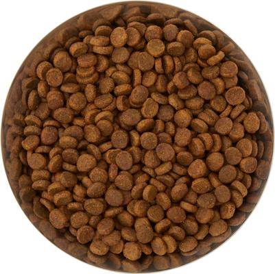 Show full view: Frisco Flare Dog & Cat Bowl, Stainless Steel, Medium: 4 cup, 1 count slide 5 of 11