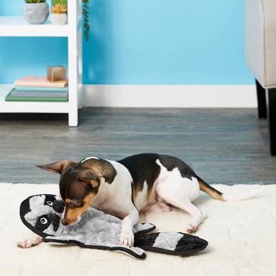 Show full view: Frisco Flat Plush Squeaking Alligator Dog Toy, Large & Frisco Flat Plush Squeaking Raccoon Dog Toy, Large slide 5 of 6