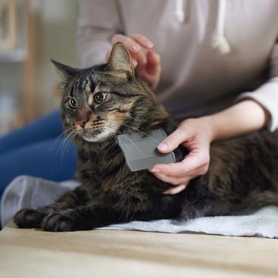 Show full view: Frisco Flea Comb for Cats & Dogs slide 4 of 6