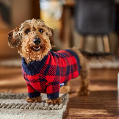 Show full view: Frisco Fleece Lined Buffalo Plaid Mock Neck Dog & Cat Sweater, Navy, Medium slide 7 of 9