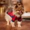 Show in main carousel: Frisco Fleece Lined Buffalo Plaid Mock Neck Dog & Cat Sweater, Navy, Small slide 7 of 9