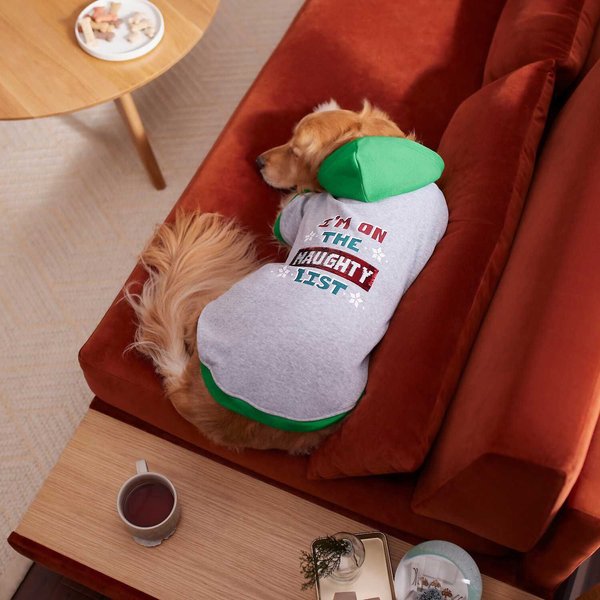 Frisco Flip Sequin Naughty/Nice List Dog & Cat Hoodie