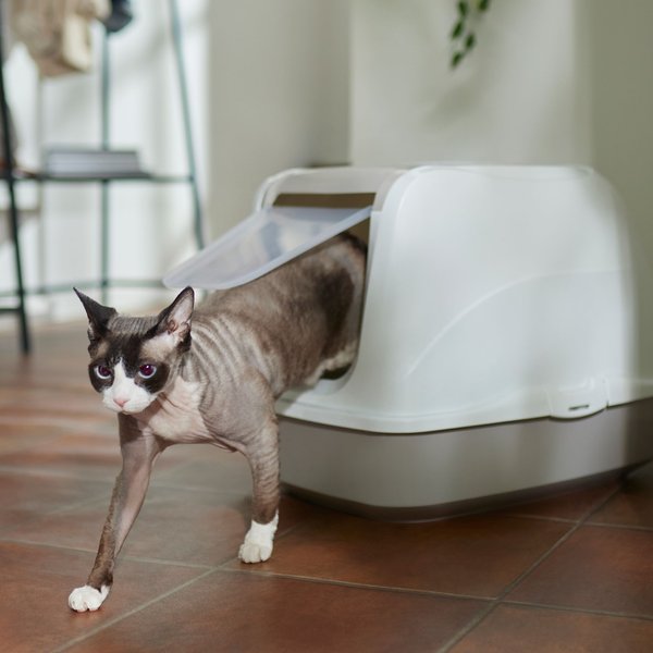 FRISCO Flip Top Hooded Cat Litter Box, Gray, Large, 22-in