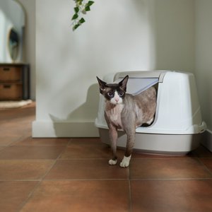 Frisco Flip Top Hooded Corner Cat Litter Box, Large, 21-in