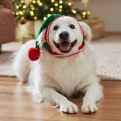 Frisco Floppy Sweater Knit Dog & Cat Hat