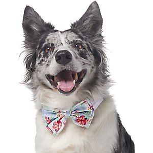 Frisco Floral Dog & Cat Bow Tie, Medium/Large