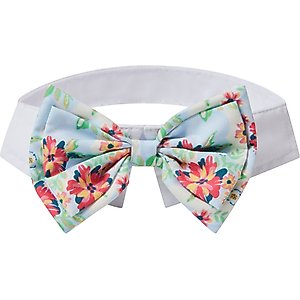 Frisco Floral Dog & Cat Bow Tie, Medium/Large