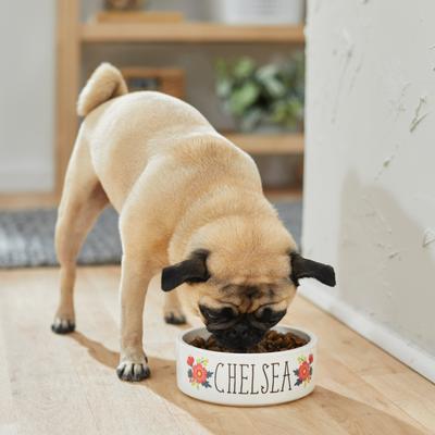Show full view: Frisco Flower Ceramic Personalized Dog Bowl, 2.75 cup slide 4 of 9
