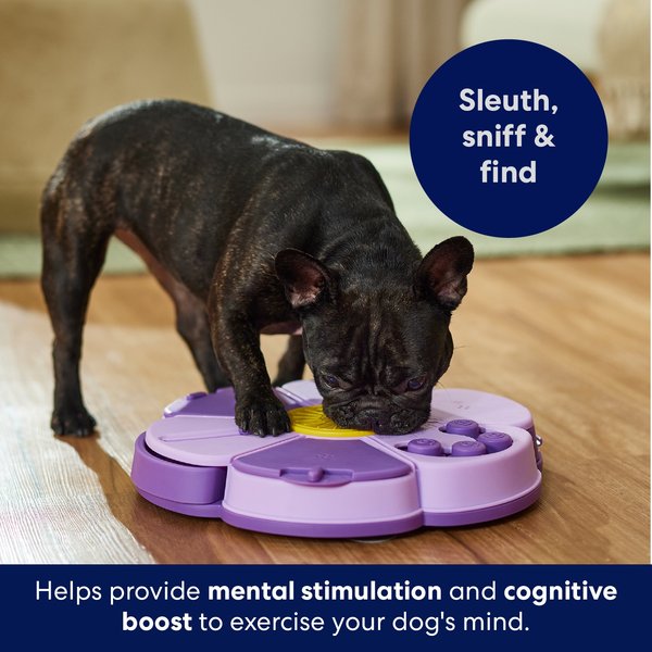 Show full view: Frisco Flower Interactive Puzzle Dog Toy, Level 5 slide 6 of 10