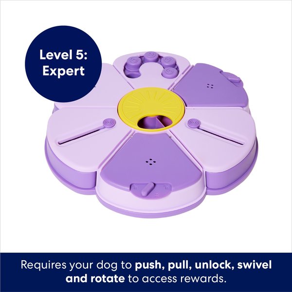 Show full view: Frisco Flower Interactive Puzzle Dog Toy, Level 5 slide 3 of 10