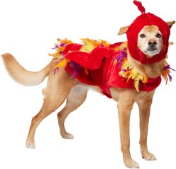 Frisco Flying Phoenix Dog & Cat Costume, Large