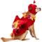 Show in main carousel: Frisco Flying Phoenix Dog & Cat Costume, Large slide 3 of 9