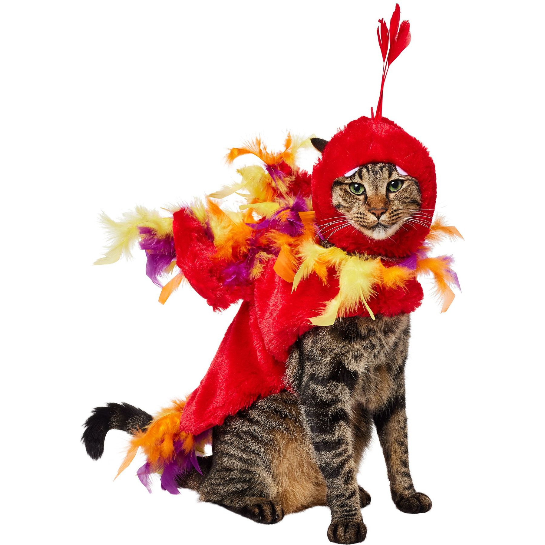 Frisco Flying Phoenix Dog & Cat Costume, Small