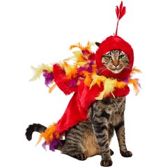 Frisco Flying Phoenix Cat Costume, Small
