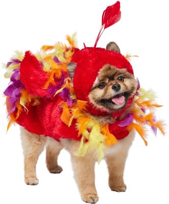 Show full view: Frisco Flying Phoenix Dog & Cat Costume, Small slide 3 of 10