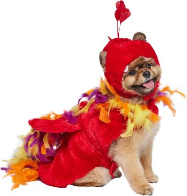 Show full view: Frisco Flying Phoenix Dog & Cat Costume, Small slide 4 of 10