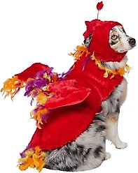 Frisco Flying Phoenix Dog & Cat Costume, XX-Large