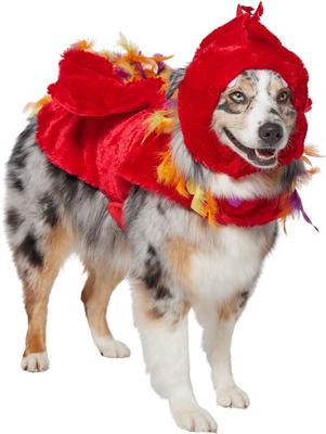 Show full view: Frisco Flying Phoenix Dog & Cat Costume, XX-Large slide 3 of 9