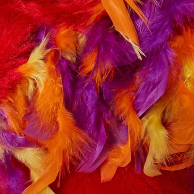 Show full view: Frisco Flying Phoenix Dog & Cat Costume, XX-Large slide 6 of 9