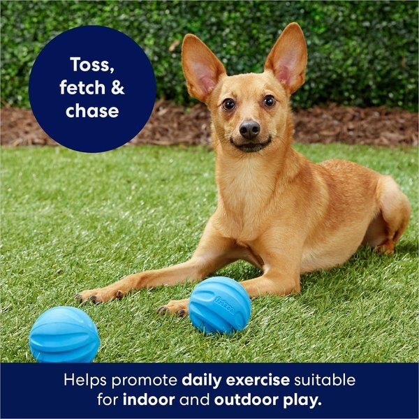 Frisco No Squeak Dumbbell Dog Toy