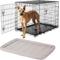 Show in main carousel: Frisco Fold & Carry Double Door Collapsible Wire Dog Crate, 42 inch & Frisco Gray Basket Weave Dog Crate Mat, 42-in slide 1 of 6