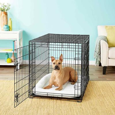 Show full view: Frisco Fold & Carry Double Door Collapsible Wire Dog Crate, 42 inch & Frisco Gray Basket Weave Dog Crate Mat, 42-in slide 3 of 6