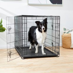 Frisco Fold & Carry Double Door Collapsible Wire Dog Crate, Large