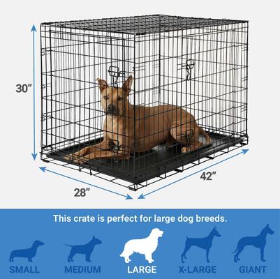 Show full view: Frisco Fold & Carry Double Door Collapsible Wire Dog Crate & Mat Kit, 42 inch + Stainless Steel Bowl, 4.75-cup, 2 count slide 3 of 9
