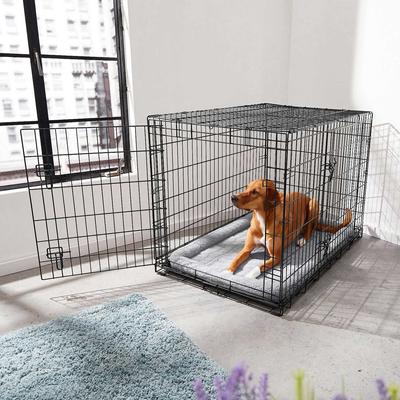 Show full view: Frisco Fold & Carry Double Door Collapsible Wire Dog Crate & Mat Kit, 42 inch + Stainless Steel Bowl, 4.75-cup, 2 count slide 5 of 9