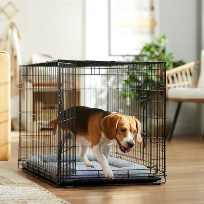 Frisco Frisco Fold & Carry Double Door Collapsible Wire Dog Crate & Mat Kit, Med/Large