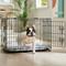 Show in main carousel: Frisco Fold & Carry Double Door Collapsible Wire Dog Crate, Medium slide 1 of 10