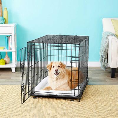 Show full view: Frisco Fold & Carry Single Door Collapsible Wire Crate, 36 inch + Extra Large Printed Dog Training & Potty Pads, 28 x 34-in, 40 count, Unscented slide 5 of 9