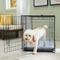 Show in main carousel: Frisco Fold & Carry Single Door Collapsible Wire Dog Crate & Mat Kit, Med/Large slide 1 of 12