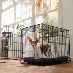 Frisco Fold & Carry Single Door Collapsible Wire Dog Crate, Small