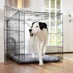 Frisco Fold & Carry Single Door Collapsible Wire Dog Crate, X-Large