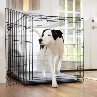 Frisco Frisco Fold & Carry Single Door Collapsible Wire Dog Crate, X-Large