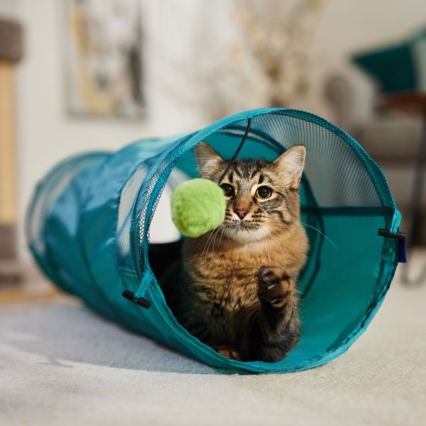 FRISCO Foldable Play Tunnel with Mesh Cat Toy, Baltic Teal