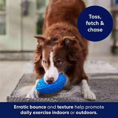 Show full view: Frisco Football TPR Squeaky Dog Toy, Blue, Medium slide 4 of 6