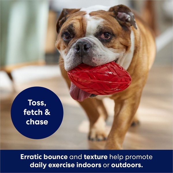 Frisco Football TPR Squeaky Dog Toy