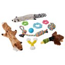 Frisco Forest Friends Plush, Rope & TPR Variety Pack Dog Toy, Multi-Color, Small/Medium, 10 count