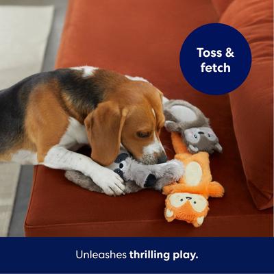 Show full view: Frisco Forest Friends Stuffing-Free Skinny Plush Squeaky Dog Toy, Small to Large slide 5 of 7