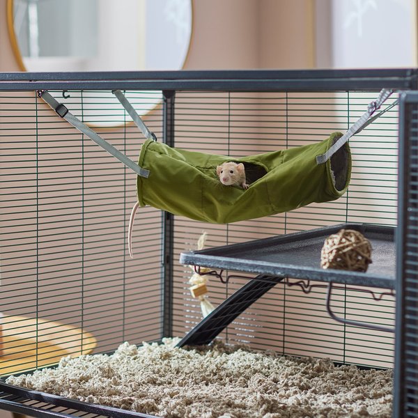Show full view: Frisco Forest Plush Small Pet Hanging Tunnel, Green slide 1 of 6