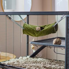 Frisco Forest Plush Small Pet Hanging Tunnel, Green
