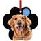 Show in main carousel: Frisco Christmas "Forever Loved" Paw Shape Metal Personalized Dog & Cat Holiday Ornament slide 1 of 5