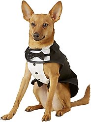 Frisco Formal Dog & Cat Tuxedo, Black, Small slide 1 of 7