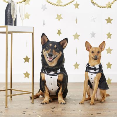 Show full view: Frisco Formal Dog & Cat Tuxedo, Black, Small slide 3 of 10