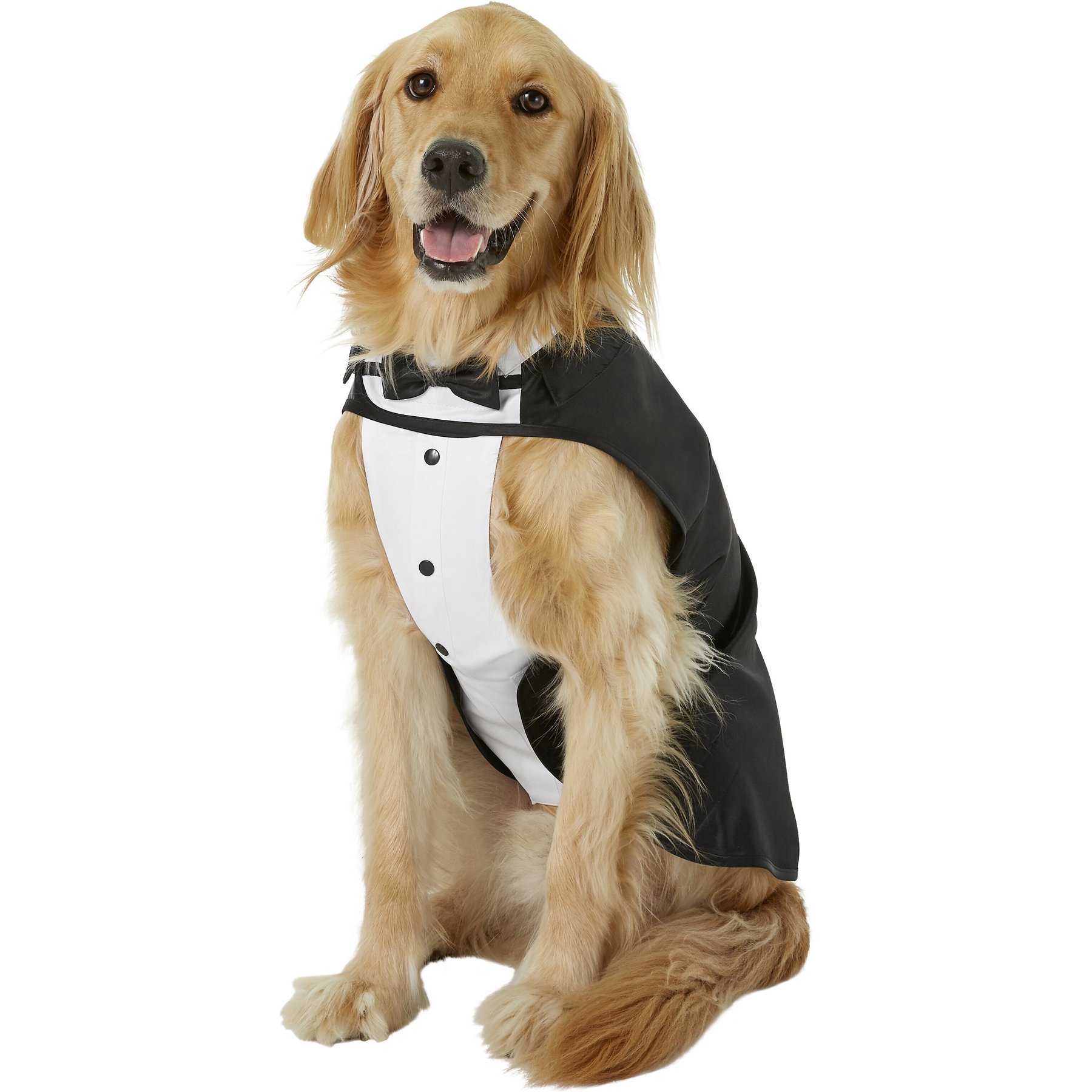 XX-Large, Frisco Formal Dog Tuxedo Frisco Black