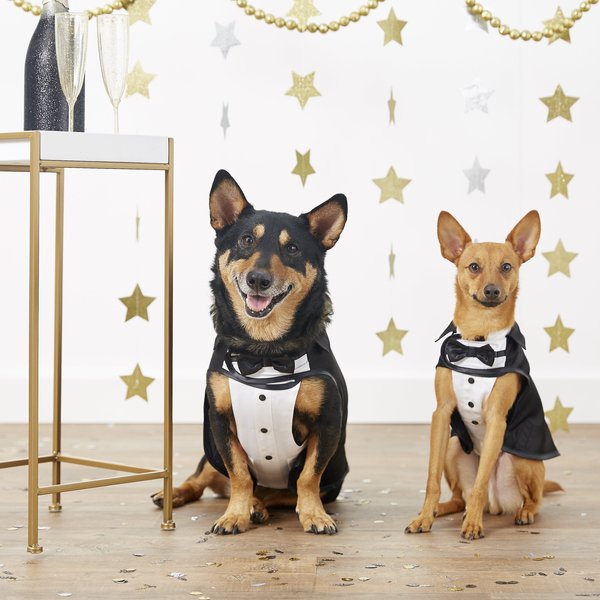 Frisco Formal Dog & Cat Tuxedo, Black